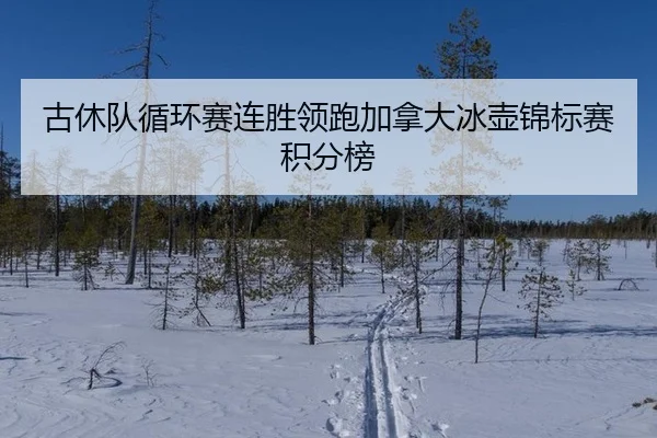 gu-xiu-dui-xun-huan-sai-lian-sheng-ling-pao-jia-na-da-bing-hu-jin-biao-sai-ji-fen-bang-3-887.jpg